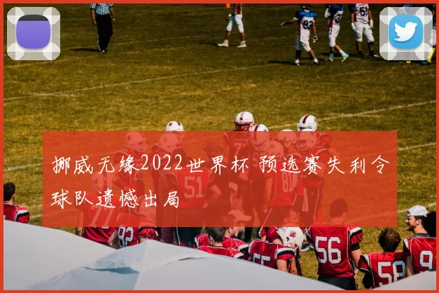 挪威无缘2022世界杯 预选赛失利令球队遗憾出局