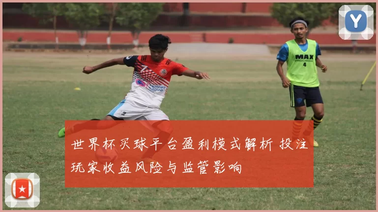 世界杯买球平台盈利模式解析 投注玩家收益风险与监管影响