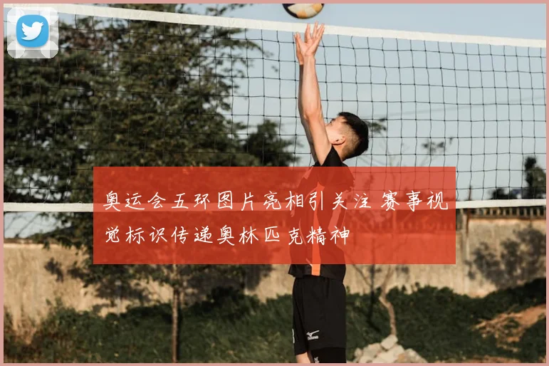 奥运会五环图片亮相引关注 赛事视觉标识传递奥林匹克精神