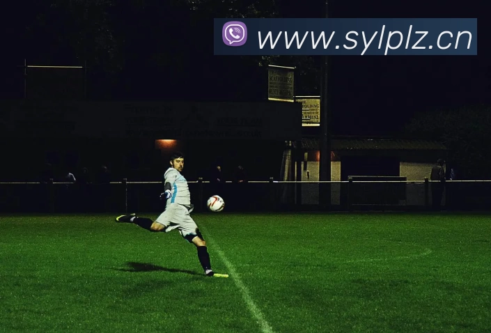 多媒体互动体验